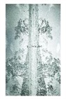 Judith Crispin, Judith Crispin - The Lumen Seed