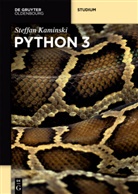 Steffan Kaminski - Python 3