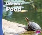 Carol K Lindeen, Carol K. Lindeen, Carol Ji in Lugtu - Life in a Pond