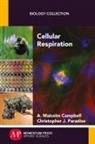 A. Malcolm Campbell, Malcolm Campbell, Christopher J. Paradise - Cellular Respiration