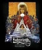 Paula M Block, Paula M. Block, Paula M./ Erdmann Block, Terry J Erdmann, Terry J. Erdmann, PAULA M BLOCK - Labyrinth
