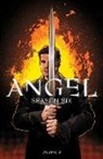 Kelley Armstrong, Brian Lynch, Stephen Mooney, Franco Urru, Joss Whedon, Stephen Mooney... - Angel: Season Six Volume 2