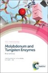 Prof. Russ (University of California Hille, Russ Hille, Russ (University of California Hille, Russ Schulzke Hille, Russ Hille, Russ (University of California Hille... - Molybdenum and Tungsten Enzymes