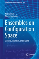 Michael Hall, Michael J Hall, Michael J W Hall, Michael J. W. Hall, Marcel Reginatto - Ensembles on Configuration Space