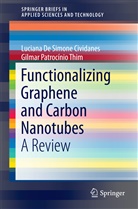 Felipe Sales Brito, Luciana Cividanes, Luciana De Simo Cividanes, Luciana De Simone Cividanes, Filipe Varga Ferreira, Filipe Vargas Ferreira... - Functionalizing Graphene and Carbon Nanotubes