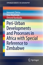 Elmond Bandauko, Innocen Chirisa, Innocent Chirisa, Elia Mazhindu, Elias Mazhindu - Peri-Urban Developments and Processes in Africa with Special Reference to Zimbabwe