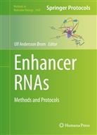 Ul Andersson Ørom, Ulf Andersson Ørom, Ulf Andersson Orom, Ulf Andersson Ørom - Enhancer RNAs