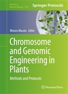 Minor Murata, Minoru Murata - Chromosome and Genomic Engineering in Plants