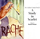 Arthur Conan Doyle, David Timson - A Study in Scarlet, 4 Audio-CDs (Hörbuch)