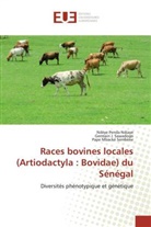 Ndèye Pend Ndiaye, Ndèye Penda Ndiaye, Germain Sawadogo, Germain J. Sawadogo, P Sembène, Pape Mbacké Sembène - Races bovines locales (Artiodactyla : Bovidae) du Sénégal