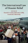 David D. Caron, David D. (King''''s College London) Kelly Caron, David D. Kelly Caron, David D. Caron, Caron David D., Michael J. Kelly... - International Law of Disaster Relief