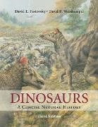 David E. Fastovsky, David E. (University of Rhode Island) W Fastovsky, David E. Weishampel Fastovsky, David B. Weishampel, John Sibbick - Dinosaurs A Concise Natural History
