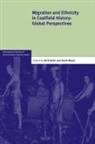 Ad Knotter, Ad (Universiteit Maastricht Knotter, Ad Mayer Knotter, Ad Knotter, Ad (Universiteit Maastricht Knotter, David Mayer... - Migration and Ethnicity in Coalfield History