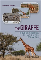 Shorrocks, Bryan Shorrocks - The Giraffe