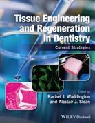 Alastair Sloan, Alastair J. Sloan, R Waddington, Rachel J. Waddington, Rachel J. (School of Dentistry Waddington, Rachel J. Sloan Waddington... - Tissue Engineering and Regeneration in Dentistry