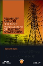 R Ross, Robert Ross, Robert (Consultant) Ross, Robert D. Ross, Robert Davis Ross, Ross Robert - Reliability Analysis for Asset Management of Electric Power Grids