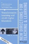 Judith Beth Gammel Cohen, Tl, Judith Beth Cohen, Jo Ann Gammel, Amy Rutstein-Riley - Transformative Learning and Adult Higher Education