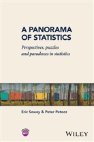 Peter Petocz, Peter (Department of Statistics Petocz, E Sowey, Eri Sowey, Eric Sowey, Eric (School of Economics Sowey... - Panorama of Statistics