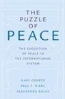 Alexandru Balas, Alexandru (Director Balas, Balas Alexandru, Paul F Diehl, Paul F. Diehl, Paul F. (Associate Provost and Director of Teaching-Learning Initiatives Diehl... - Puzzle of Peace