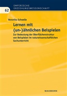 Veronika Schwelle - Lernen mit (un-)ähnlichen Beispielen