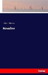 Helene Böhlau - Novellen