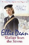 Ellie Dean - Shelter from the Storm