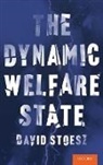 David Stoesz, David (Professor of Social Work Stoesz - Dynamic Welfare State