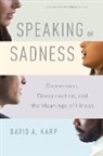 David Karp, David A Karp, David A. Karp, David Allen Karp, Karp David A. - Speaking of Sadness