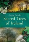 Christine Zucchelli - Sacred Trees of Ireland