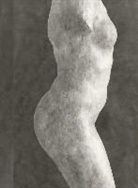 Emmanuel Berry, Emmanuel (1971-....) Berry, BERRY EMMANUEL, Emmanuel Berry, Hélène Pinet, Marie Guillot... - Rodin