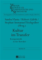 Robert Gafrik, Róbert Gáfrik, Stephan-Immanuel Teichgräber, Sandra Vlasta - Kultur im Transfer