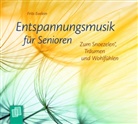 Frits Evelein - Entspannungsmusik für Senioren, Audio-CD (Hörbuch)