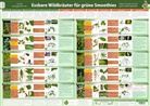 Samuel Cremer, Alfred Zenz - Essbare Wildkräuter für Grüne Smoothies Teil 2 - Wandposter (A2). Tl.2
