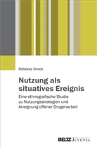 Rebekka Streck - Nutzung als situatives Ereignis