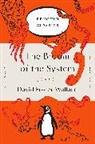 David Foster Wallace - The Broom of the System