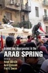 Holger (EDT)/ Croissant Albrecht, Holger Croissant Albrecht, Holger Albrecht, Aurel Croissant, Fred H. Lawson - Armies and Insurgencies in the Arab Spring