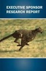 James Johnson - Executive Sponsor Research Report