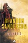 Rafael Marin Trechera, Brandon Sanderson - Elantris / Elantris: Author's Definitive Edition