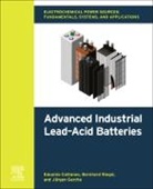 Eduardo Cattaneo, Eduardo (Director Cattaneo, Eduardo Riegel Cattaneo, Eduardo/ Riegel Cattaneo, Cattaneo Eduardo, Jurgen Garche... - Electrochemical Power Sources: Fundamentals, Systems, and Applications