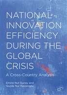 Emine Nu Gunay, Emine Nur Gunay, Emine Nur Kazazoglu Gunay, Gozde Nur Kazazoglu - National Innovation Efficiency During the Global Crisis