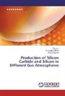 Xian Li, Xiang Li, Oleg Ostrovski, Guangqin Zhang, Guangqing Zhang - Production of Silicon Carbide and Silicon in Different Gas Atmospheres