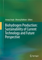 Rathore, Rathore, Dheeraj Rathore, Anoo Singh, Anoop Singh - Biohydrogen Production: Sustainability of Current Technology and Future Perspective
