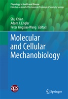 Shu Chien, Adam J. Engler, Ada J Engler, Adam J Engler, Peter Yingxiao Wang, Peter Yingxiao Wang - Molecular and Cellular Mechanobiology