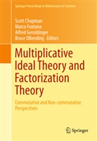 Scott Chapman, Marc Fontana, Marco Fontana, Alfred Geroldinger, Alfred Geroldinger et al, Bruce Olberding - Multiplicative Ideal Theory and Factorization Theory