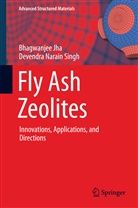 Bhagwanje Jha, Bhagwanjee Jha, Devendra Narain Singh - Fly Ash Zeolites
