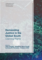 Lorenza Fontana, Lorenza B. Fontana, Lorenza Fontana et al, Jean Grugel, Jewellor Nem Singh, Jewellord Nem Singh... - Demanding Justice in The Global South