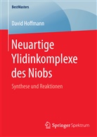 David Hoffmann - Neuartige Ylidinkomplexe des Niobs
