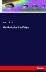 Richard Batka - Musikalische Streifzüge