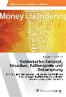 Raymundo Soto Morales - Geldwäsche: Konzept, Ursachen, Fallbeispiele und Bekämpfung