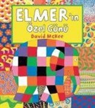 David McKee - Elmerin Özel Günü